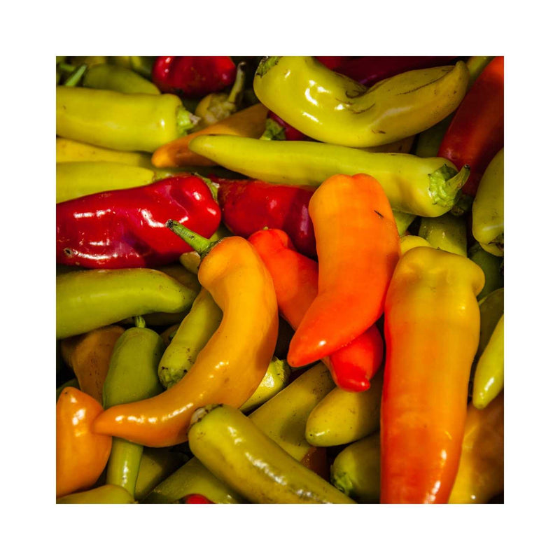 PIMENT HONGROIS