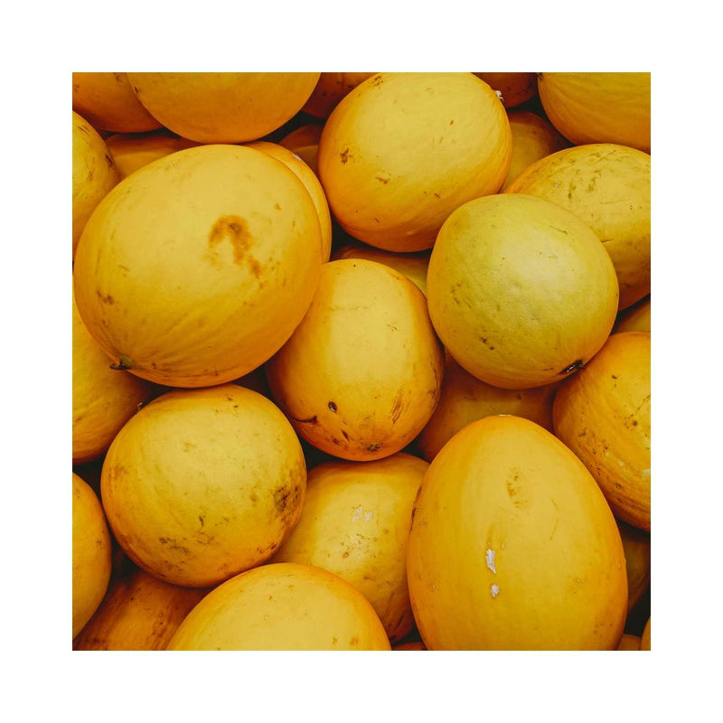 MELON MIEL  JAUNE