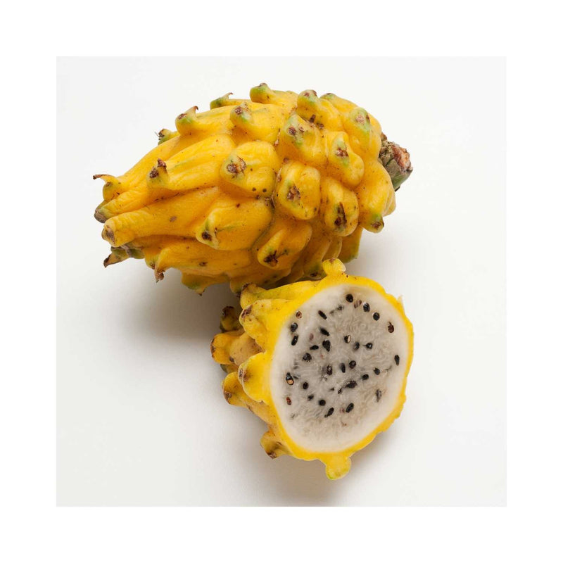 PITAHAYA