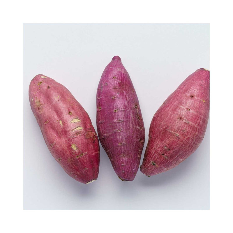 PATATE SUCREÉ ROSE/MAUVE