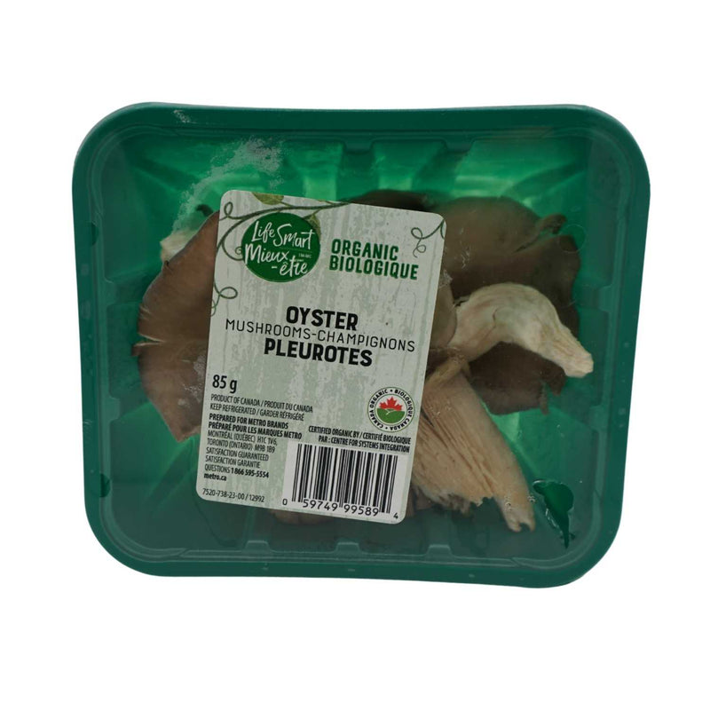 CHAMPIGNON PLEUROTES