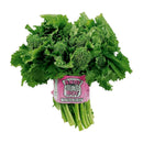 RAPINI
