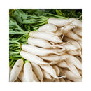 DAIKON