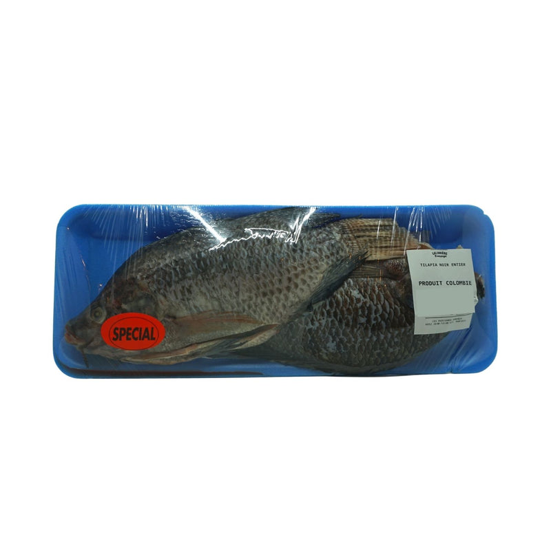 TILAPIA NOIR ENTIER
