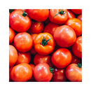 TOMATE DE SERRE/ 4799