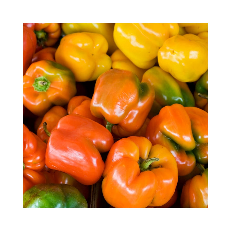 PIMENT MIX
