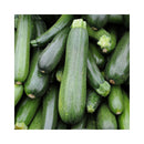 COURGE ZUCCHINI VERT