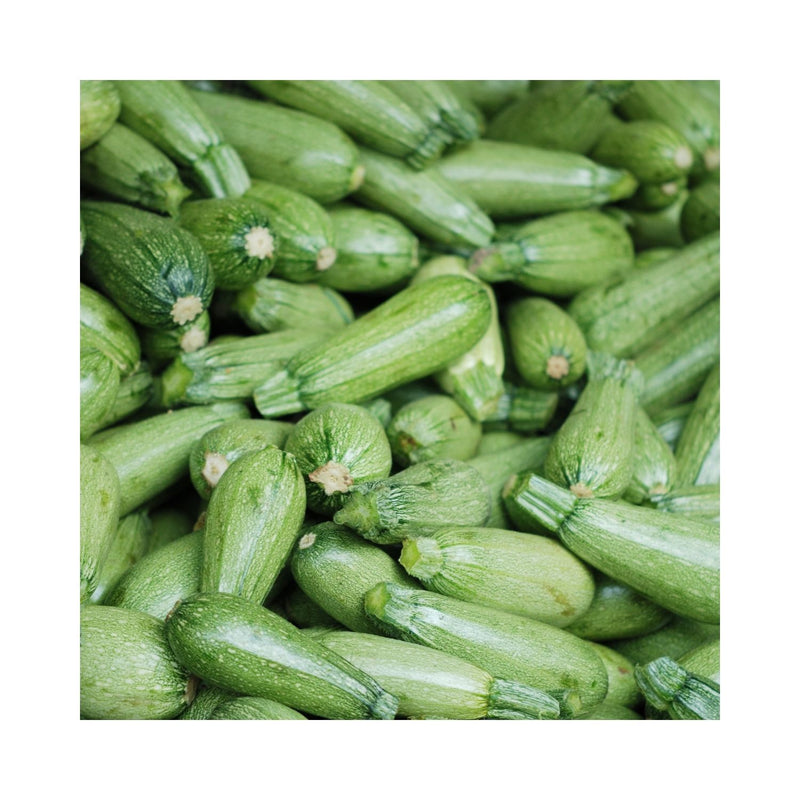 COURGE ZUCCHINI GRIS