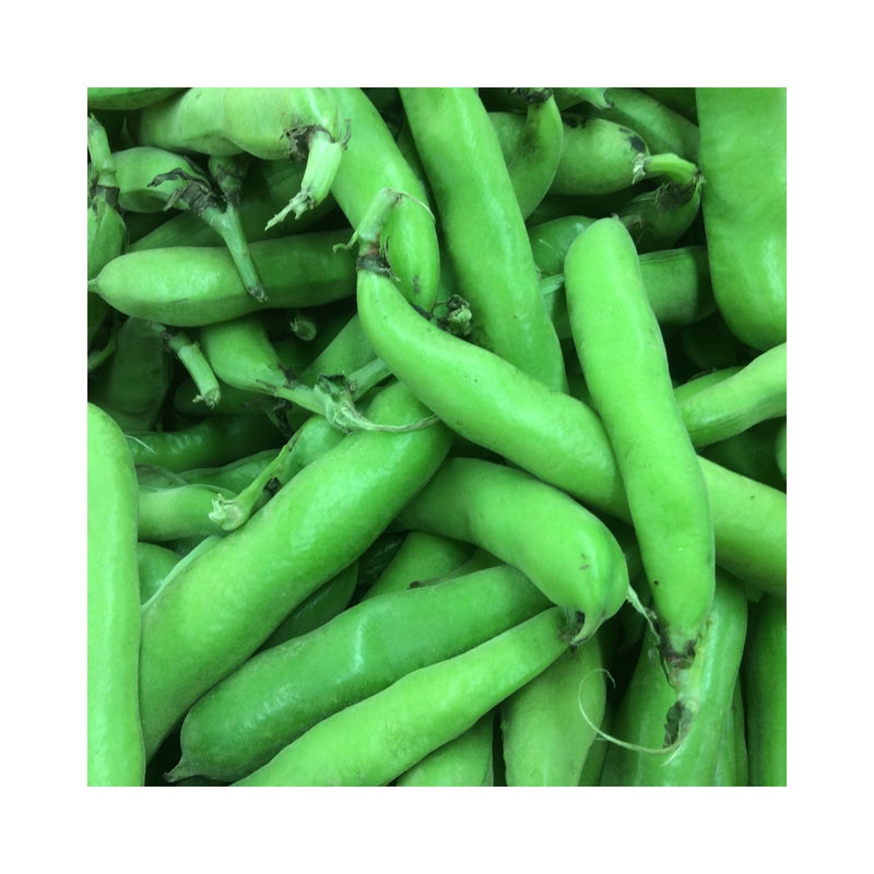 HARICOT GOURGANE