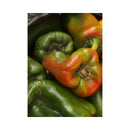 PIMENT CUBANEL MIX