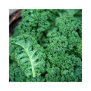 CHOU FRISÉ (KALE)