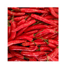 PIMENT SHEPPERD ROUGE /RUSTICO