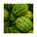 MELON D'EAU SANS PEPINS