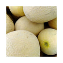 MELON MIEL GROS