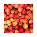 POMME ROYAL GALA/4132