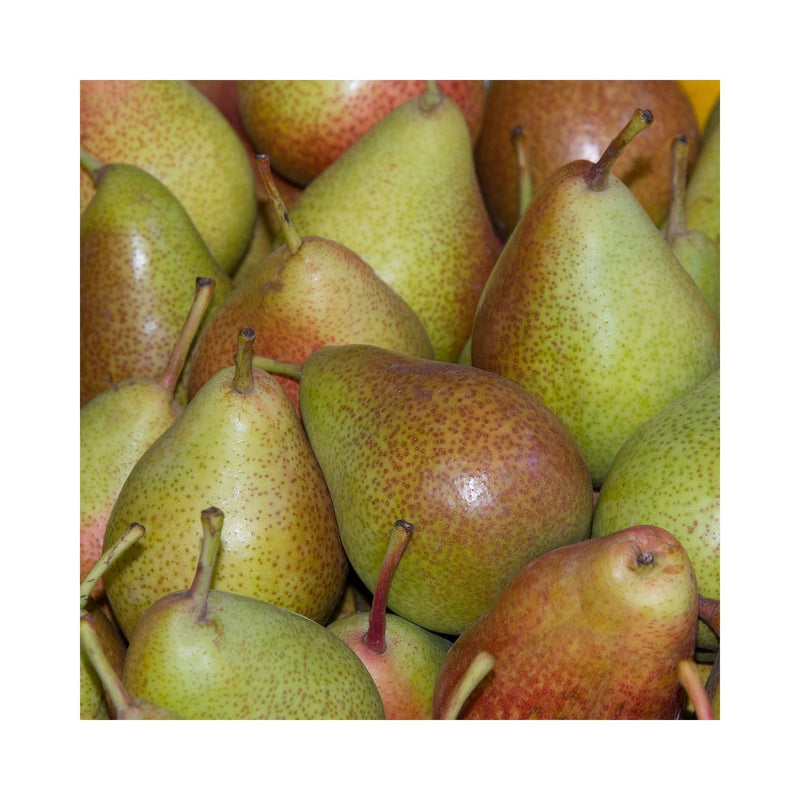 POIRE FORELLE
