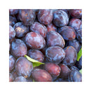 PRUNE ITALIENNE