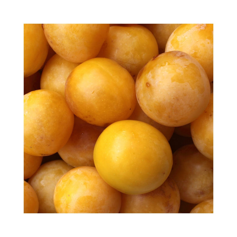 PRUNE JAUNE
