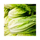 LAITUE ROMAINE COEUR