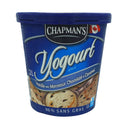 YOGOURT GLACE VANILLE CHOCOLAT