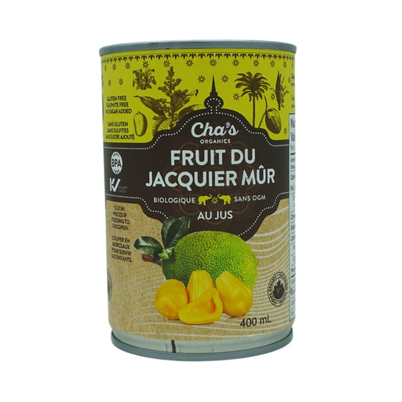 FRUIT DU JACQUIER BIO